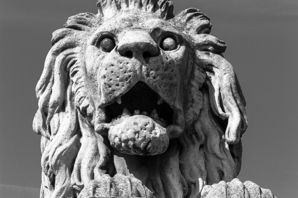 石狮子雕像的正面黑白风格摄影