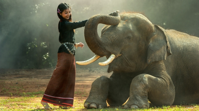 柬埔寨王国高清桌面壁纸