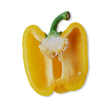 食物南瓜椒黄色海报元素logo食物海报