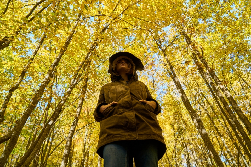 金色树林中身着棕色连帽大衣的美女仰视摄影