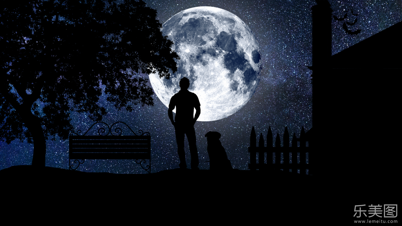 月夜星空下的男人与狗