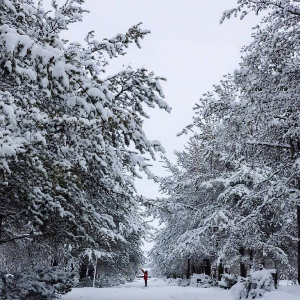 唯美雪景风景写真图片