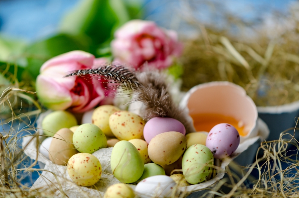 桌面彩蛋粉色花朵植物敲开鸡蛋
