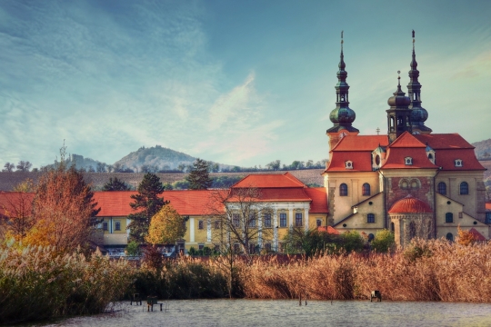 枯草后面红色屋顶欧洲小镇欧式建筑风光