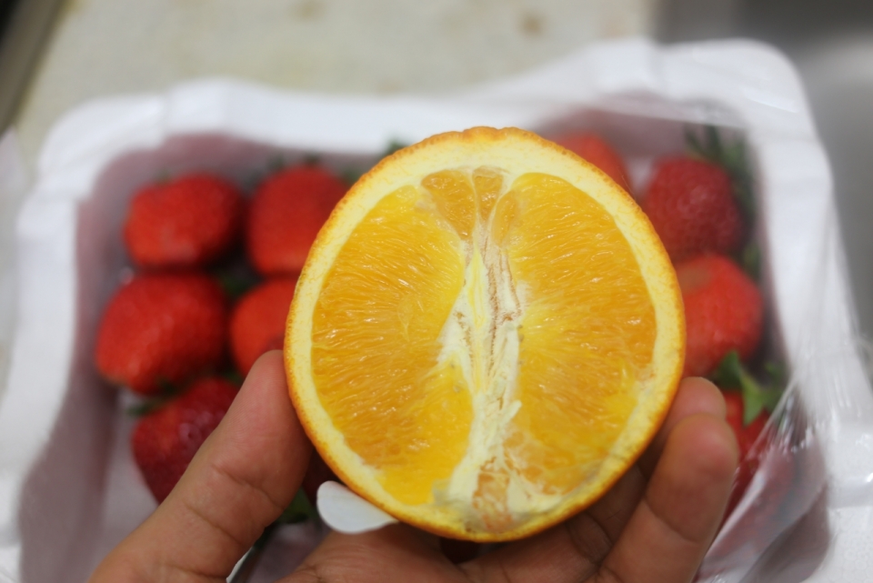 虚化白色盒子草莓前手拿新鲜橙子切面