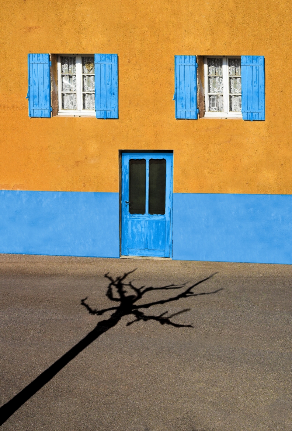 黄色墙面蓝色窗户和大门马路上一课树倒影