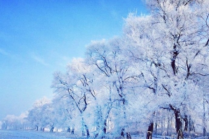 唯美雪景图片