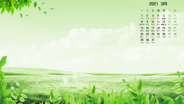 2021年3月清新绿色护眼高清桌面壁纸