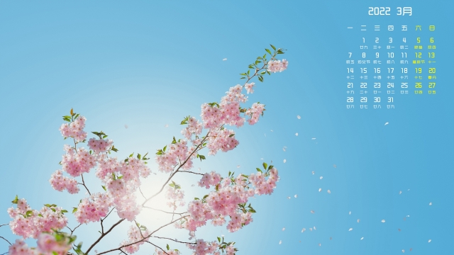 2022年3月樱花高清桌面日历壁纸