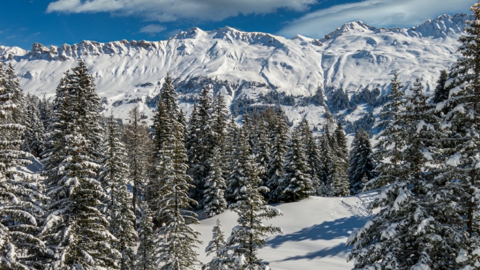 唯美冬天雪景高清桌面壁纸