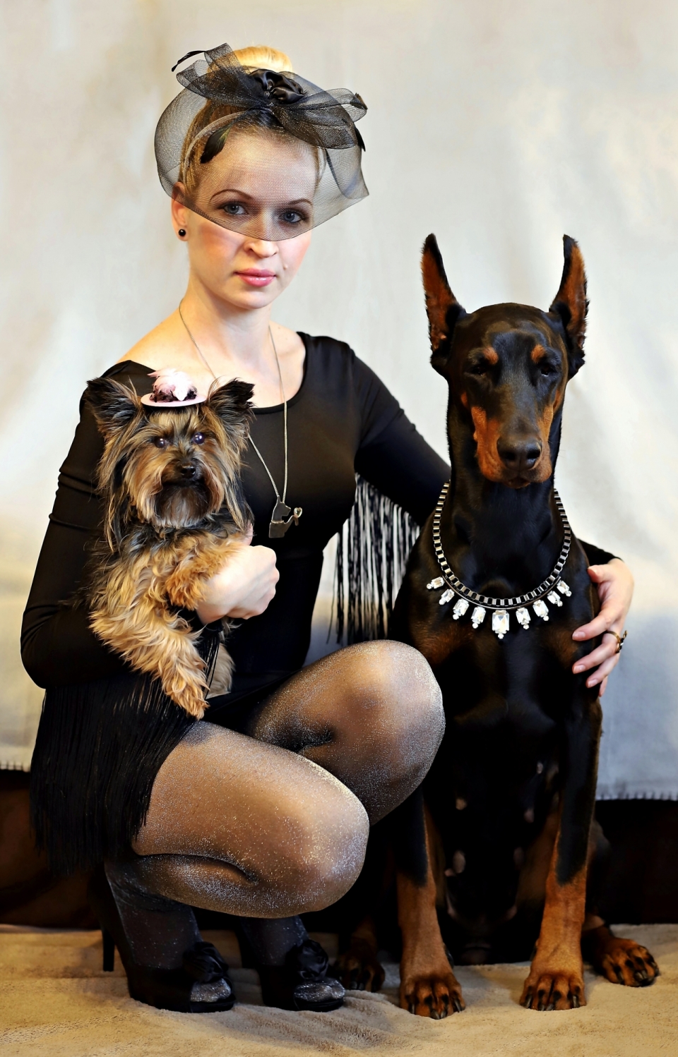室内抱可爱宠物狗黑色服装时尚女性