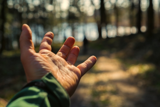 阳光自然森林前伸手成年男性