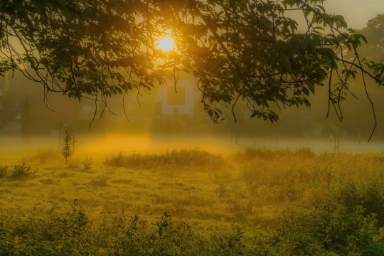 夕阳下的绿色草坪被阳光照射变黄