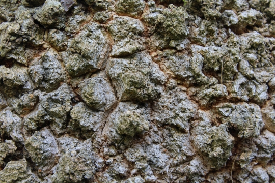 石头泥地干涸自然景色