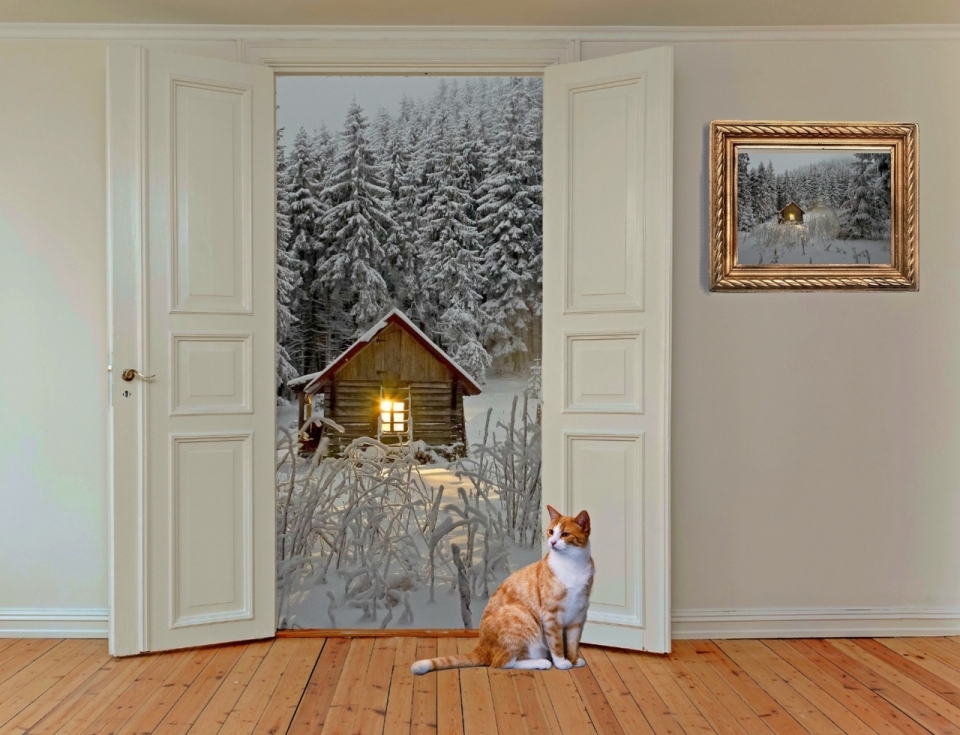坐在屋门前的猫屋门外冰天雪地创意设计