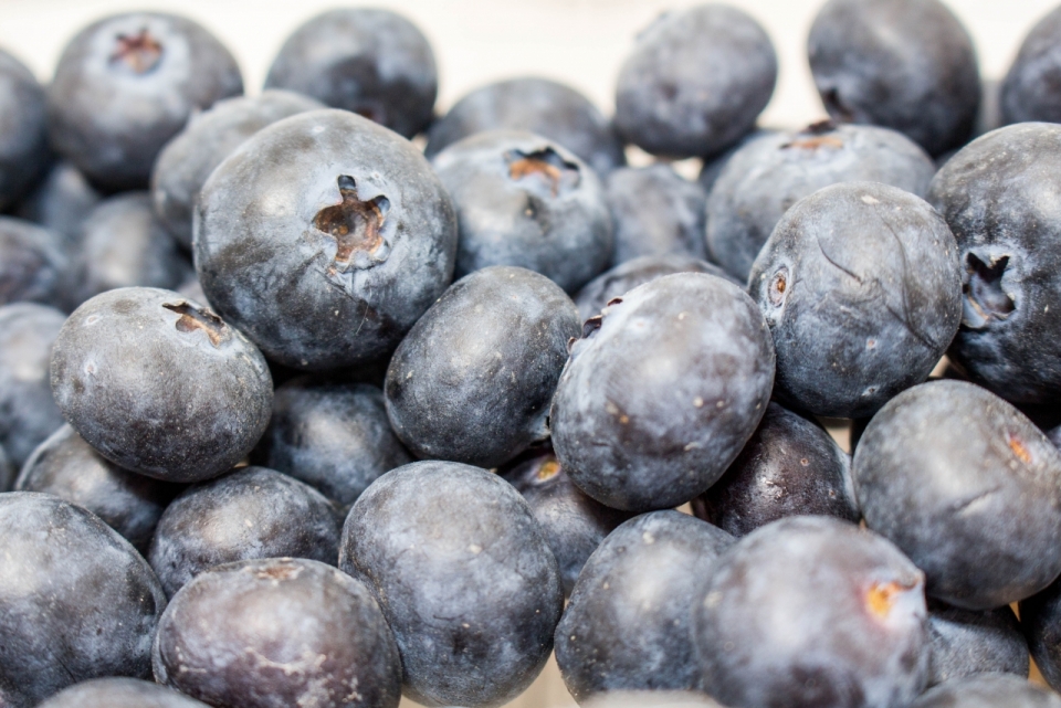 白色背景新鲜美味健康蓝莓水果