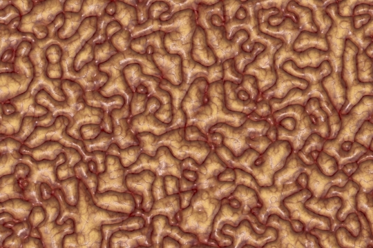 威化饼巧克力饼干微距特写