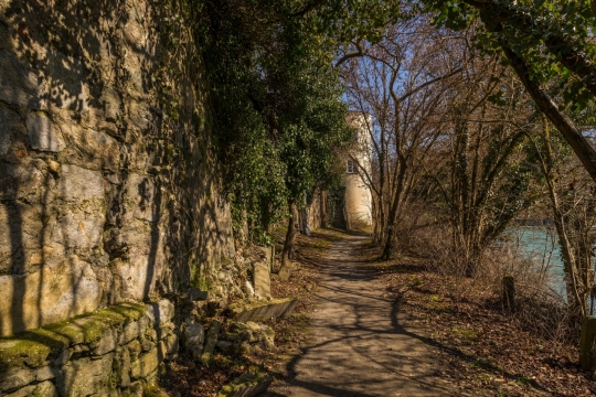 土屋墙壁外围枯黄树林植物风景