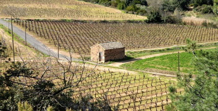 乡村田边破旧土屋外景拍摄