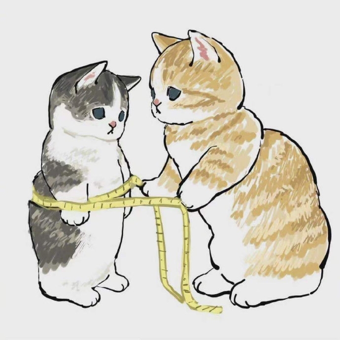 唯美插画猫咪减肥图片