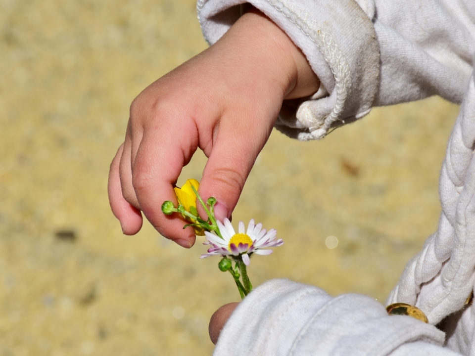 阳光户外儿童手拿自然花朵植物