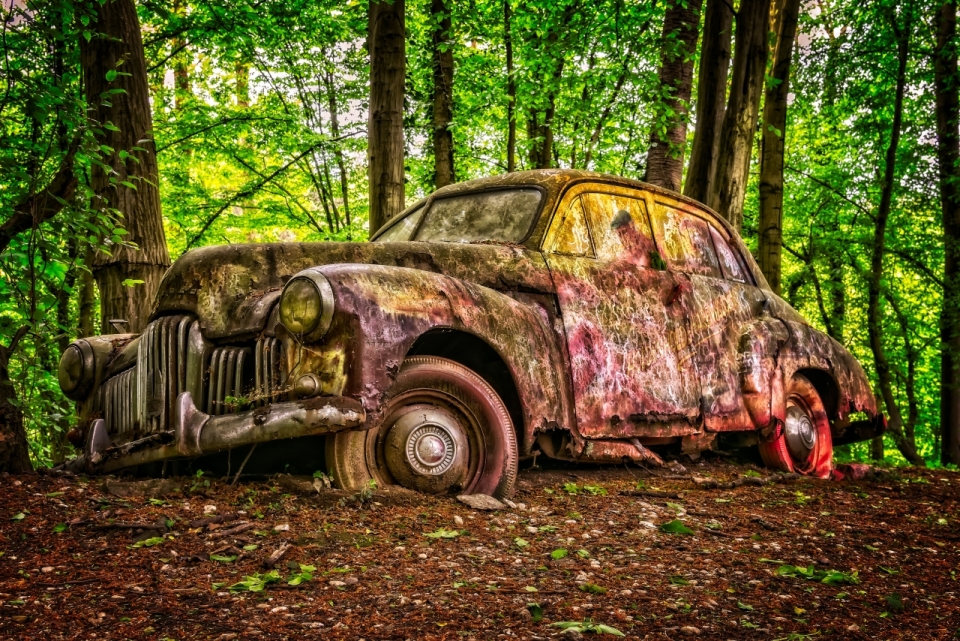 自然绿色森林粉废弃古老轿车