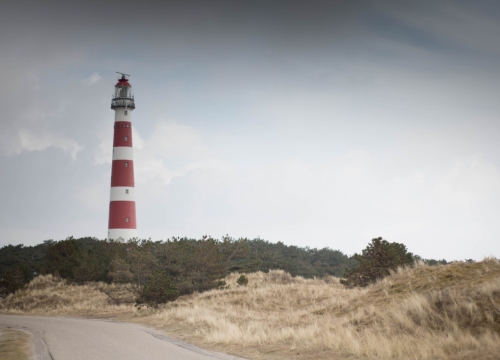 阴沉天空森林中高耸灯塔建筑外景