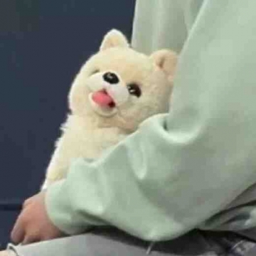 可爱趣味头像图片