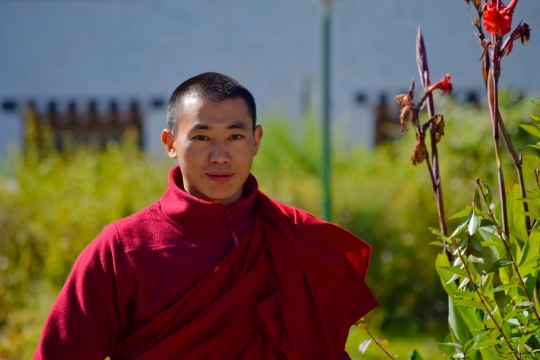 红色外套短发男子站在绿色树叶和青草边