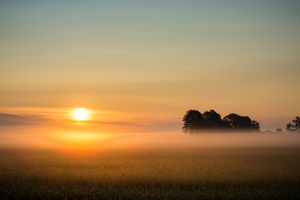 清晨云雾缭绕的农田与树林