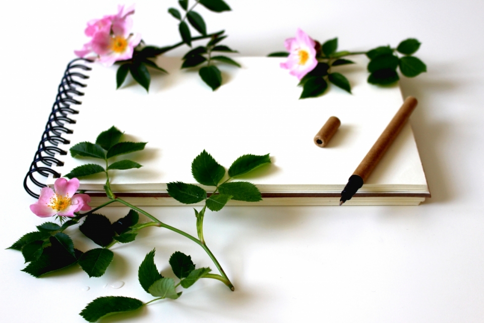白色桌面粉色花朵植物空白笔记本笔