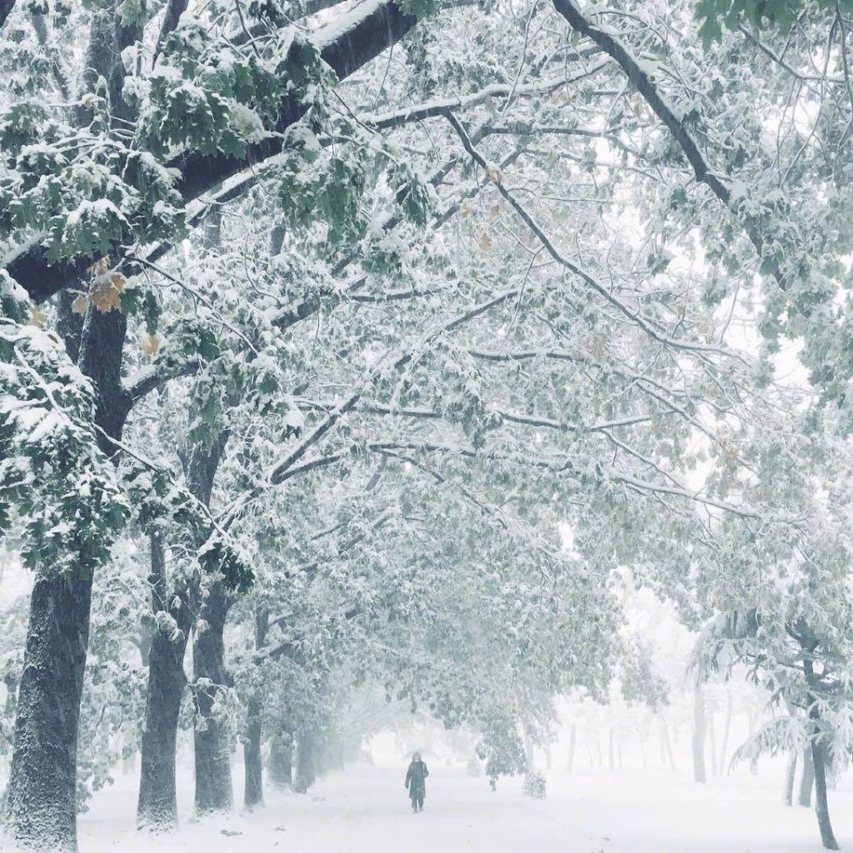 唯美雪景风景写真图片