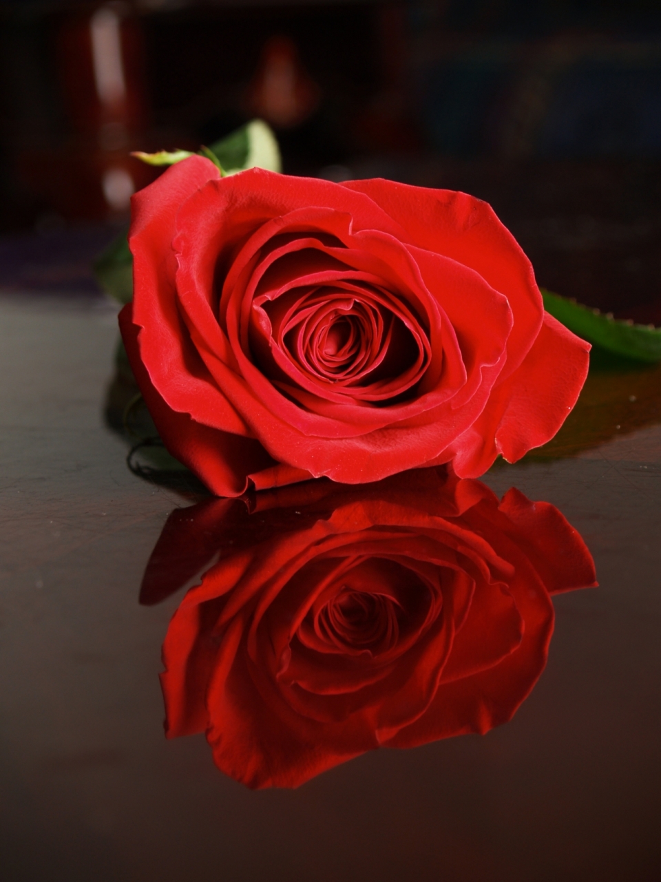 黑色大理石桌面红色玫瑰高清特写