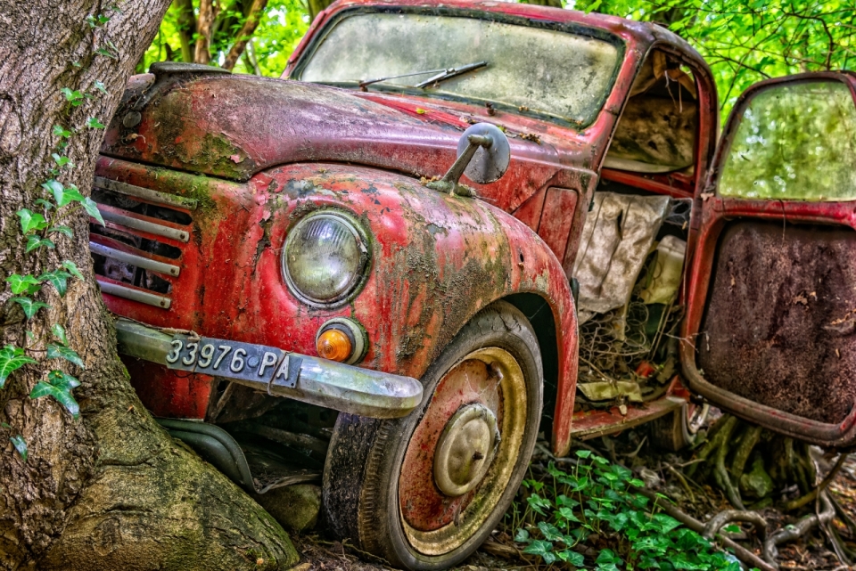 自然森林树木树干废弃红色轿车