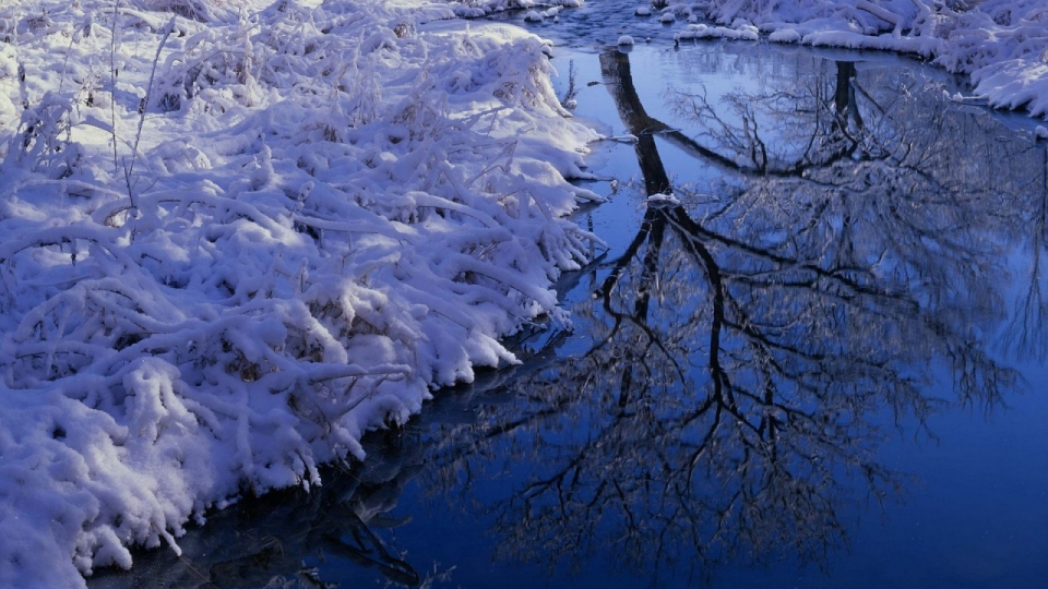 唯美冬季雪景高清桌面壁纸