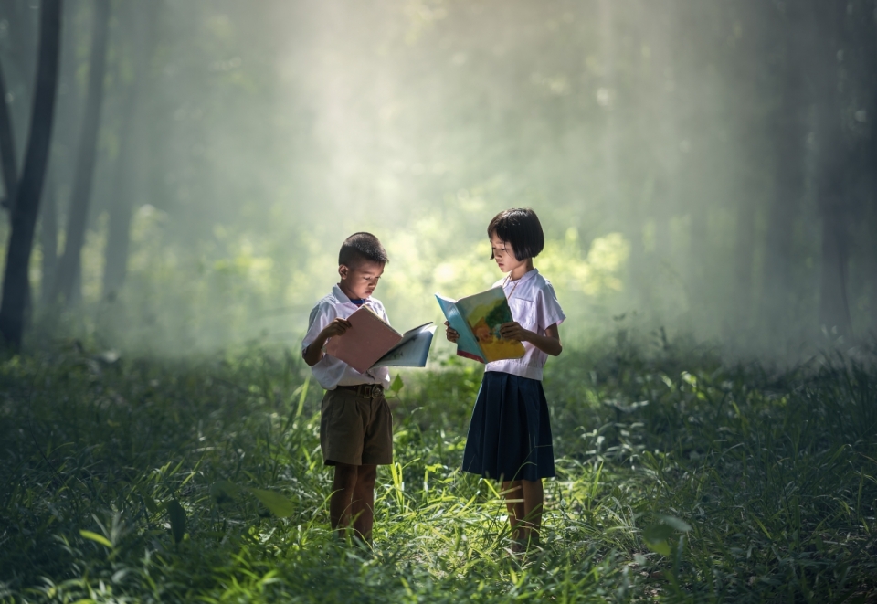 光束透过林间照在站在草地上认真看书的学生身上