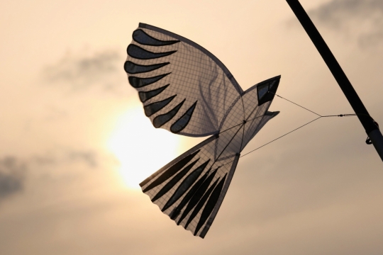 阴沉天空街边栏杆悬挂风筝外景