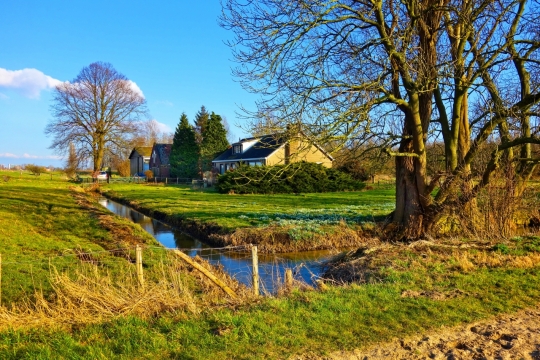 阳光蓝色天空郊外田园风光