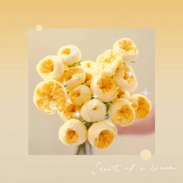 唯美浪漫的背景图片