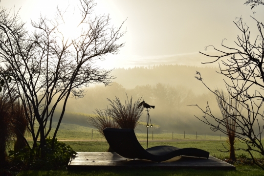 清晨日出阳光洒满山林唯美摄影