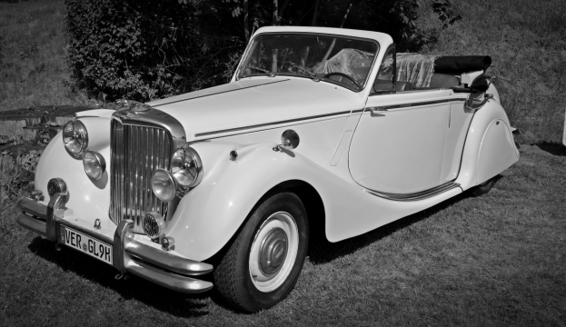 黑白阳光户外自然草坪古典轿车