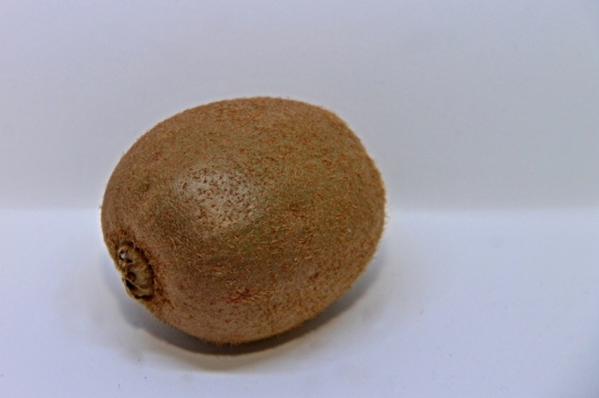 摄影基础_室内桌面新鲜棕色外皮猕猴桃水果