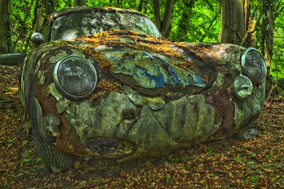 阳光自然森林生锈废弃轿车