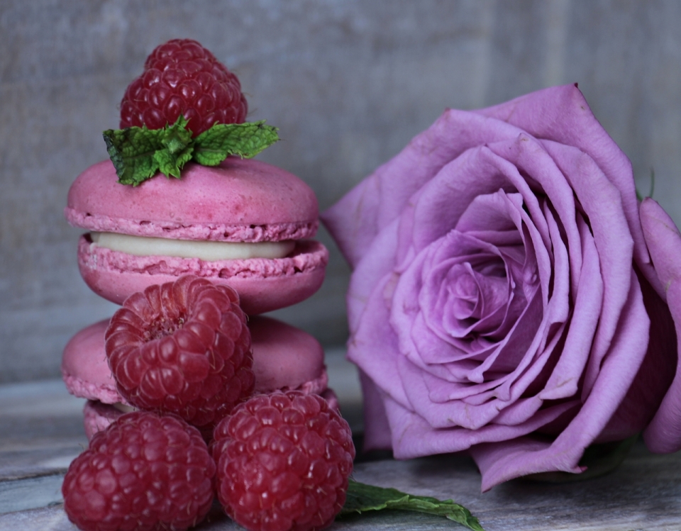树莓味马卡龙甜品美食摄影