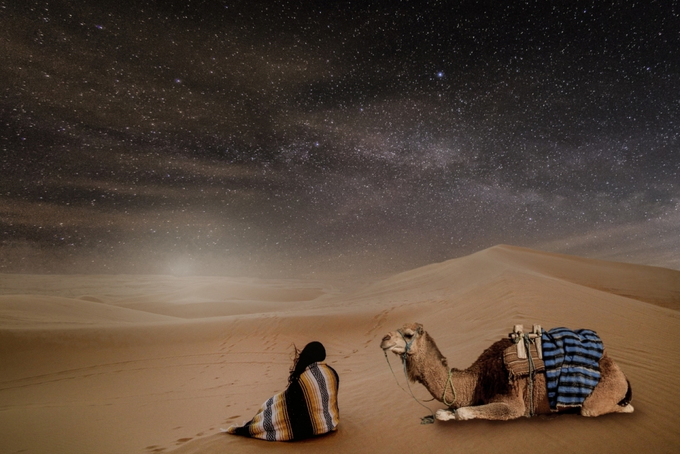 夜晚星空下坐在沙漠中休息的女子背影和骆驼看着落日