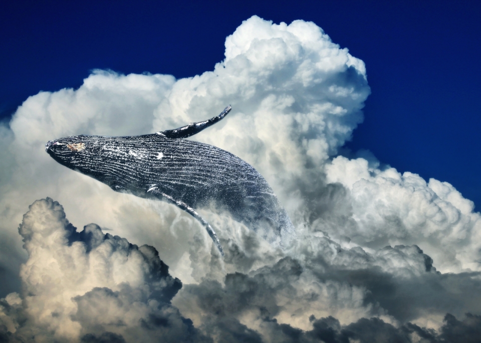 在天空云层中遨游的蓝鲸