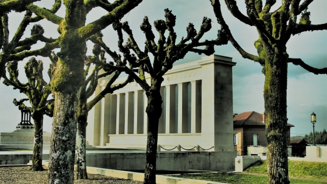 城市街道自然树木前现代建筑