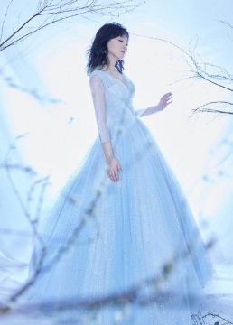 气质美女明星闫妮优雅长裙性感透视写真