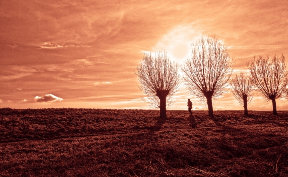 落日霞光下林间草地的跑者