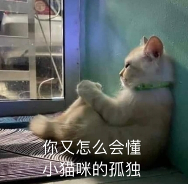 幽默搞笑表情包图片